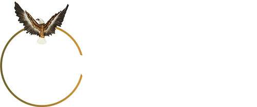 Eagle View Detection - Security Consultants in West Midlands, Birmingham, London, UK