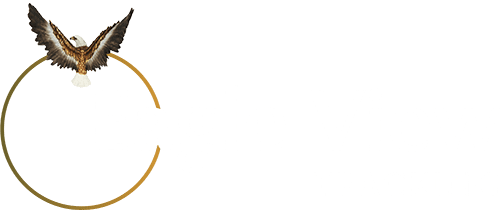 Eagle View Tracking - Vehicle Tracking West Midlands, Birmingham, London, UK