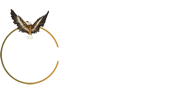 Eagle View